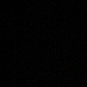 Meet your Posher, Joey